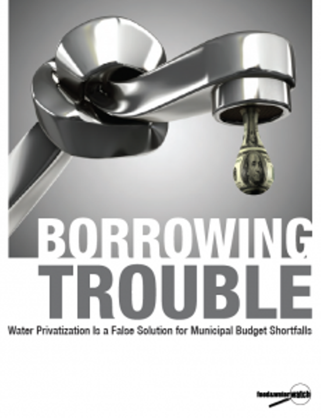Borrowing TroubleCover-231x300