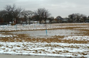Ice pool where trees were planted on Munger grounds by Greening of Detroit.