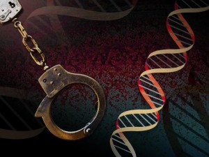 DNA handcuffs