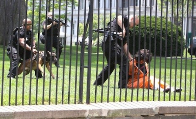 Protester Diane Wilson, who has been on hunger strike in solidarity with Gitmo prisoners, arrested on White House grounds June 26, 2013.