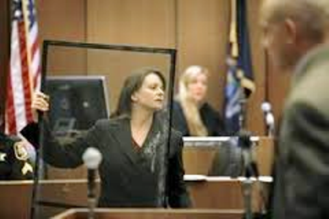 Cheryl Carpenter brandishes tainted evidence at trial of Theodore Wafer, the screen door through which he blasted Renisha McBride with his shotgun.