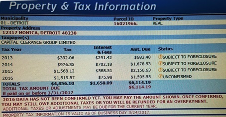 What is some general information about delinquent taxes in Wayne County?