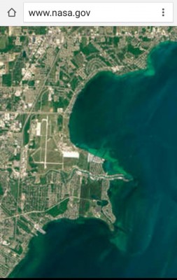 Aerial photo shows green areas of contamination at Metropolitan Beach, at the mouth of the Clinton River, on July 4, 2015.