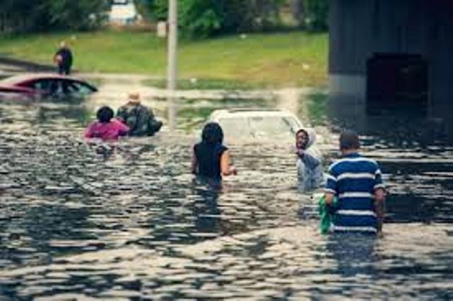 Drivers on Detroit freeway wade to safety Aug. 11, 2014, after massive flooding of roads and homes.