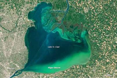 Lake Erie's algae bloom has grown to alarming portions since last year. Note origin at bottom from Detroit.
