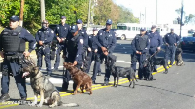Police with dogs confronted Rise Up protesters. Photo: James from the Internet.