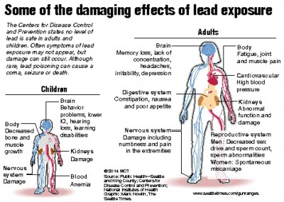 Some of damaging effects of lead exposure
